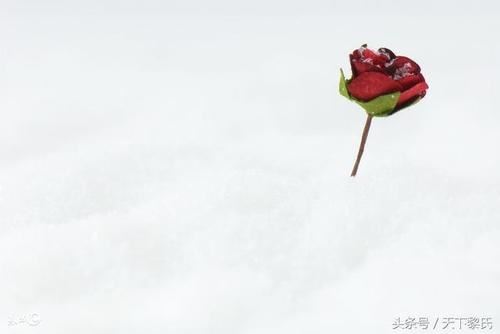 “黑色”分钟