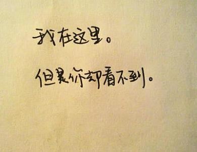 省级预算执行和其他财政收支的审计工作报告