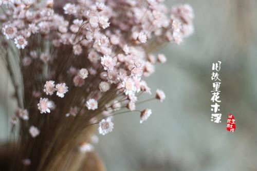 升旗仪式 Flag-raising Ceremony